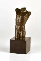 View 5: Bronze Torso of a Nude Male