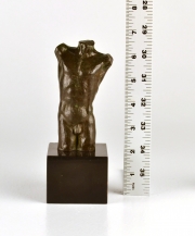 View 6: Bronze Torso of a Nude Male