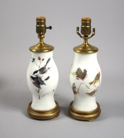 View 2: Delightful Pair of Small Decalcomania Lamps