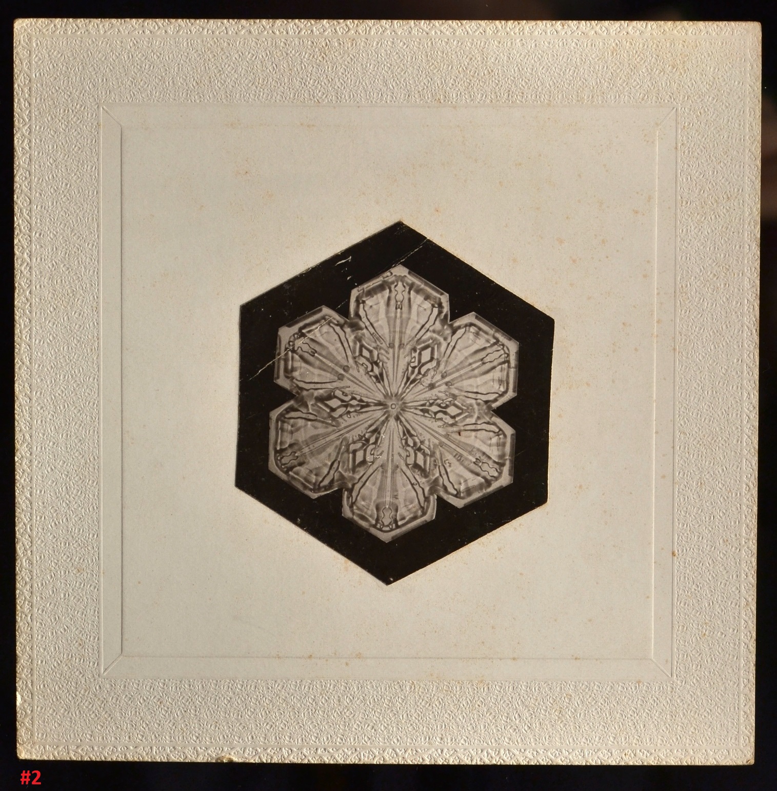 "Snowflakes" by Wilson Bentley (1865-1931)