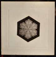 View 4: "Snowflakes" by Wilson Bentley (1865-1931)